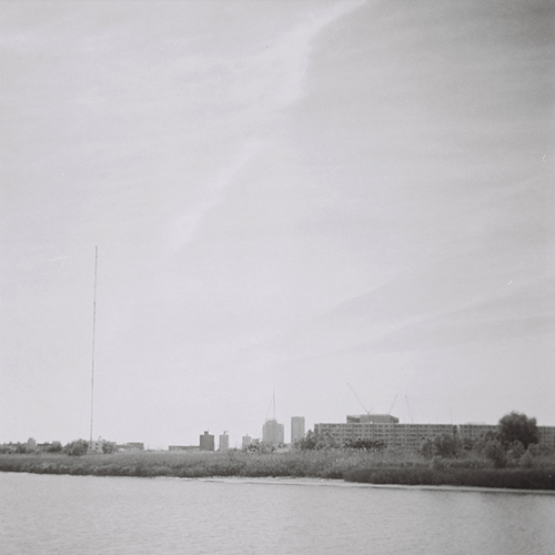 Boyish『FIELDS』 ジャケット画像