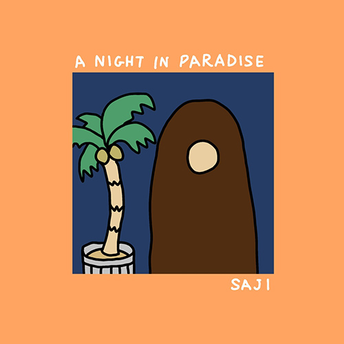 匙『パラダイスの夜』 ジャケット画像